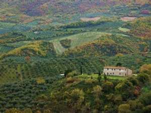 Valori agricoli medi della provincia