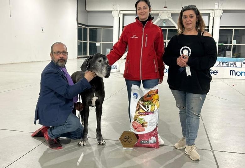 'Demetra' Campionessa europea nella classe veterani