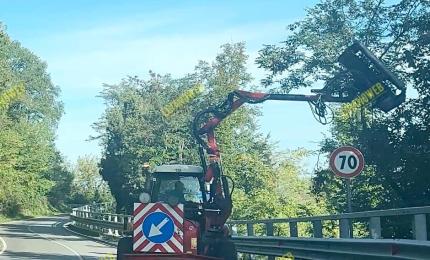Si attendono ancora sfalci e pulizia delle banchine nelle strade coomunali