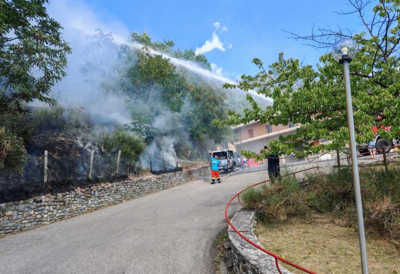 Inizio di incendio in pineta domato dai Vigili del Fuoco e Protezione Civile